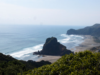 PIHA